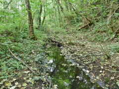 
Monmouthshire Canal at Celynen South Colliery, Abercarn, July 2012